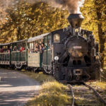 Mocanita Hutulca Moldovita